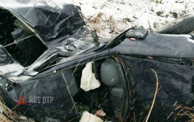 Renault врезался в дерево в Калининградской области 