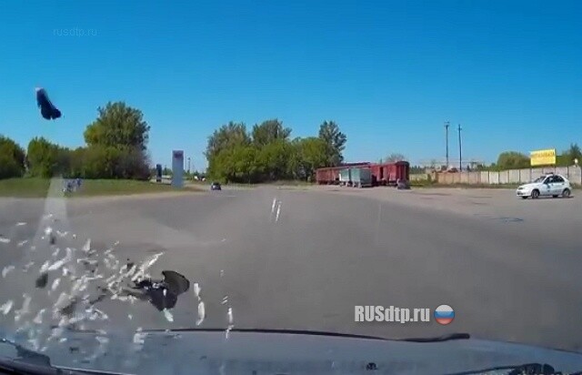 Птичку жалко © 