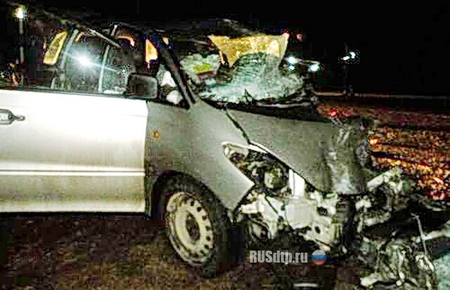 Под Слонимом столкнулись «Toyota Previa» и «DAF» 