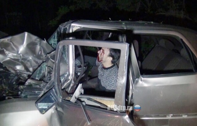 Опять дерево 