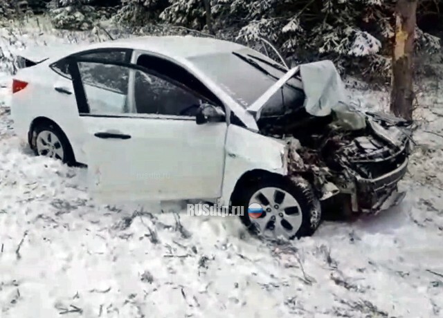 В Башкирии в ДТП с деревом погиб 26-летний пассажир «Соляриса» 