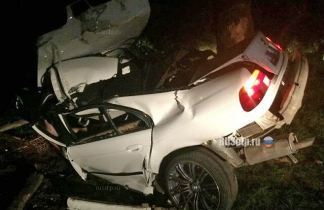 На Кубани лишенный прав водитель BMW погиб при столкновении с деревом 