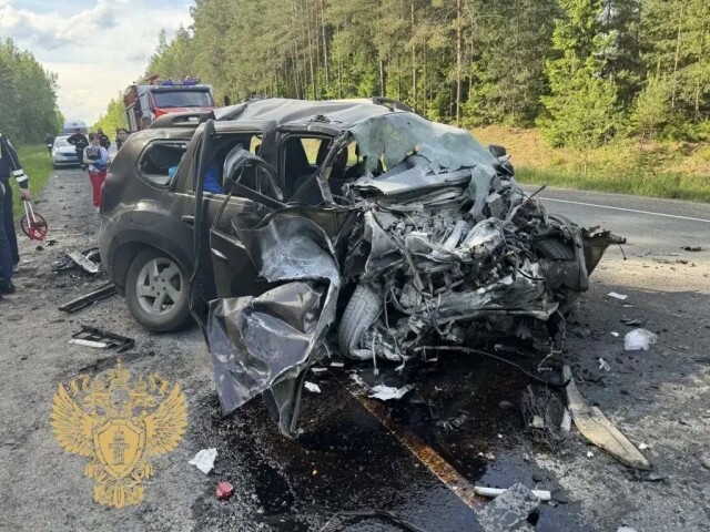 Двое взрослых и двое детей погибли в лобовом ДТП в Ленобласти 