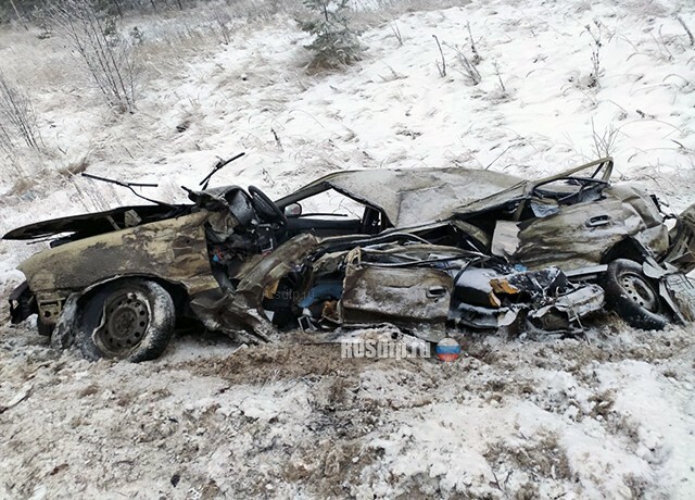 Водитель «Нексии» погиб в ДТП под Сарапулом 