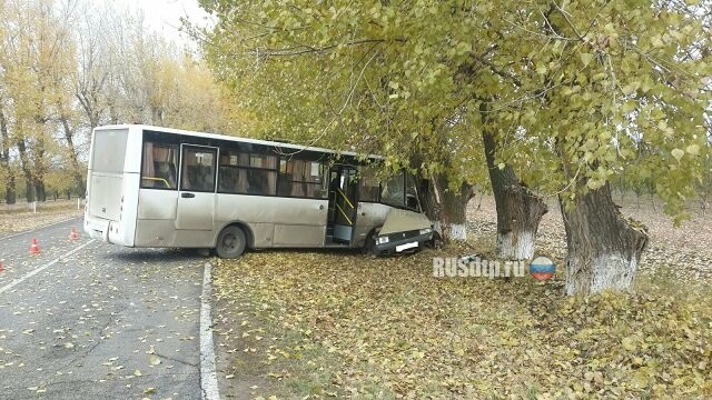Два человека погибли при столкновении автобуса с «Москвичом» на Кубани 