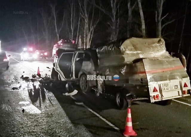 Двое погибли в ДТП на трассе М-5 в Путятинском районе 