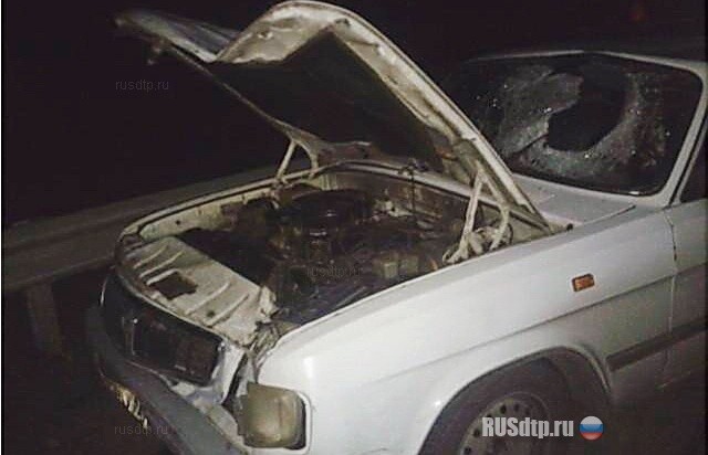 Женщина и двое детей погибли под колесами \»Волги\» 