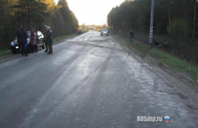 Водитель сгорел заживо после того как сбил лося 