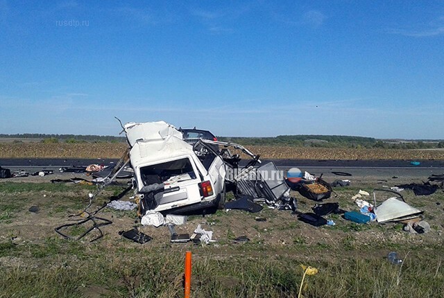 Житель Волгоградской области погиб под встречным КАМАЗом на трассе М-6 