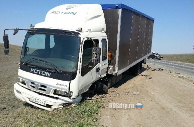В аварии на Петровском тракте выжила только собака 