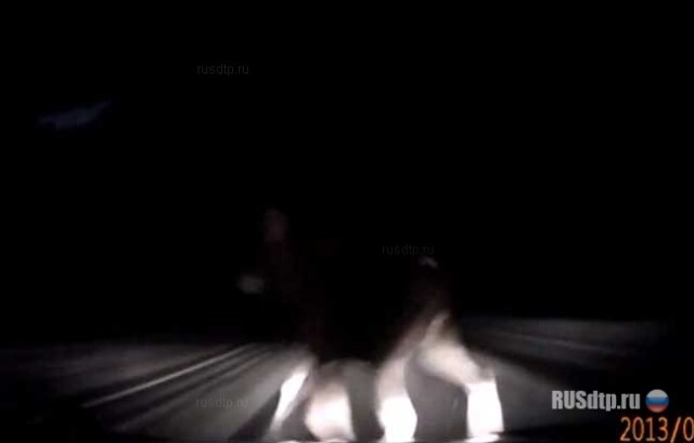 Эстонский лось 