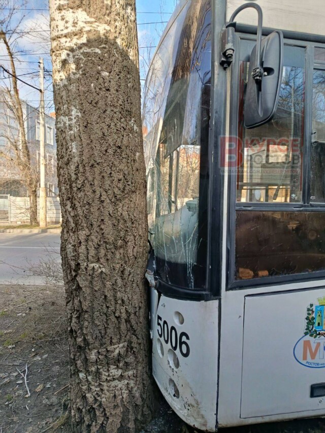 В Ростове-на-Дону водитель автобуса пытался избежать наезда на велосипедиста и врезался в дерево 
