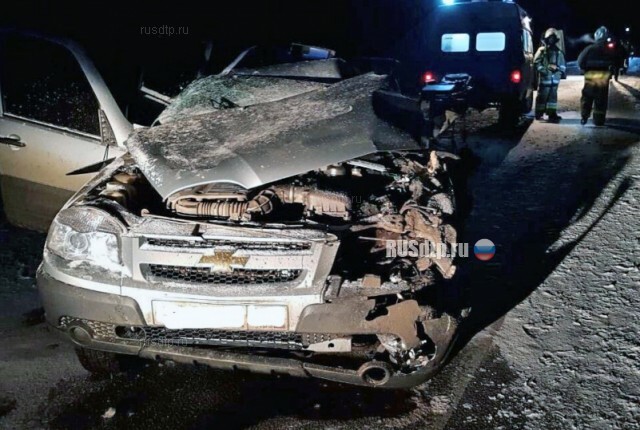 Водитель и пассажир «Нивы» погибли в ДТП под Нефтегорском 