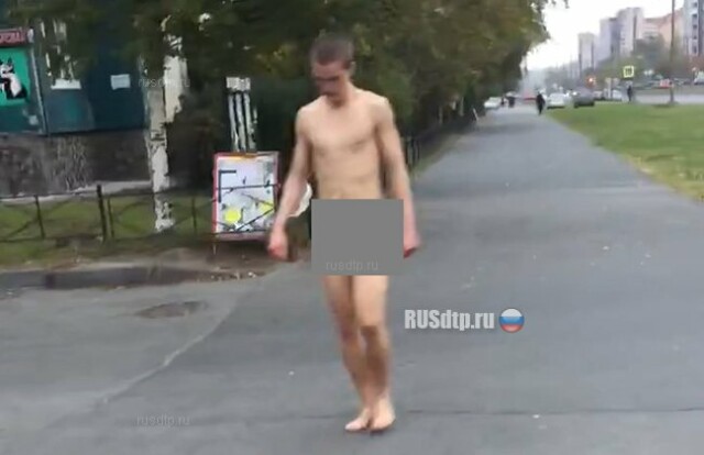 В Петербурге голый мужчина пугал прохожих