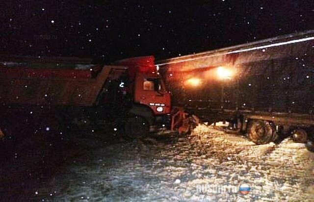 В Пензенской области КАМАЗ задавил дальнобойщика, менявшего колесо 