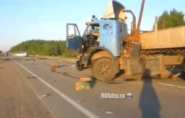 В километре от дома 