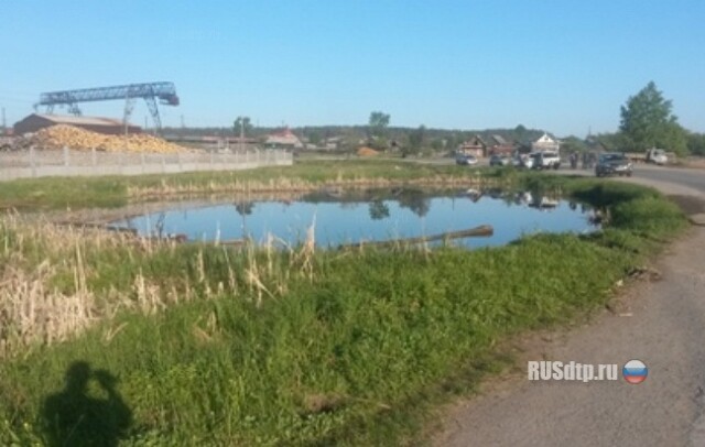 Бесправница сбила пешеходов 