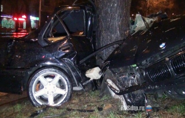 Обнял дерево 