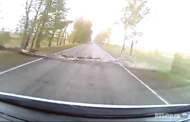 С маршрутки 