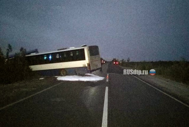 Под Сургутом в ДТП с участием автобуса и грузовика погиб человек 