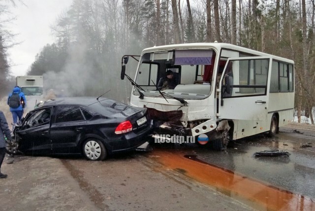 Смертельное ДТП с участием автобуса произошло в Ленинградской области 