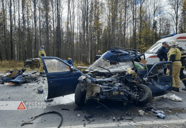 Водитель «десятки» погиб на трассе в Пермском крае 