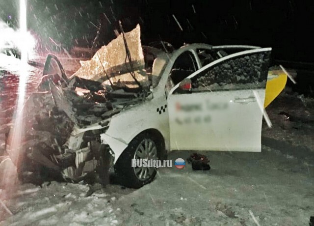 В Рязанской области пьяная компания попала в смертельное ДТП 