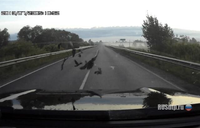 Angry Birds 