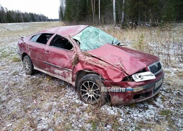 35-летний водитель погиб в ДТП в Плесецком районе 