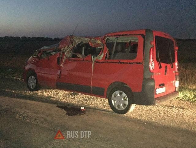 Пункт назначения по-ростовски: выпавшее бревно убило пассажира микроавтобуса 