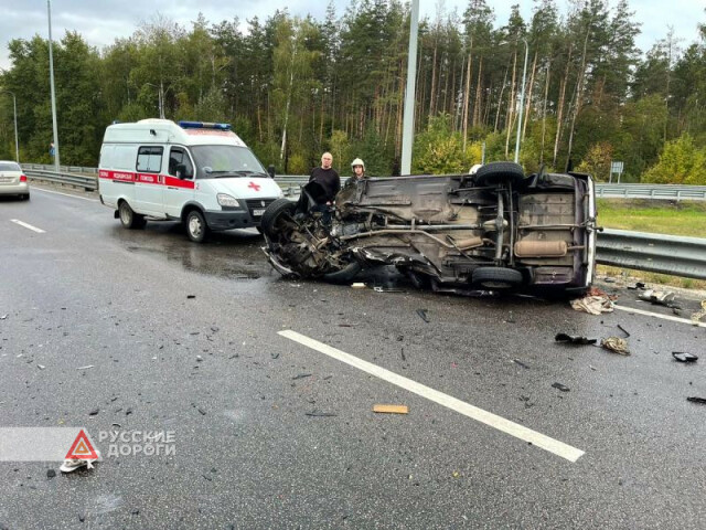 Пожилой мужчина и ребенок погибли в ДТП в Воронеже 