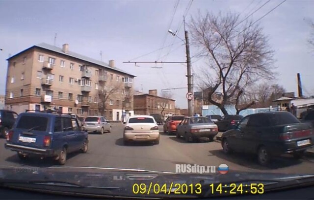 Четвероногое на дороге 