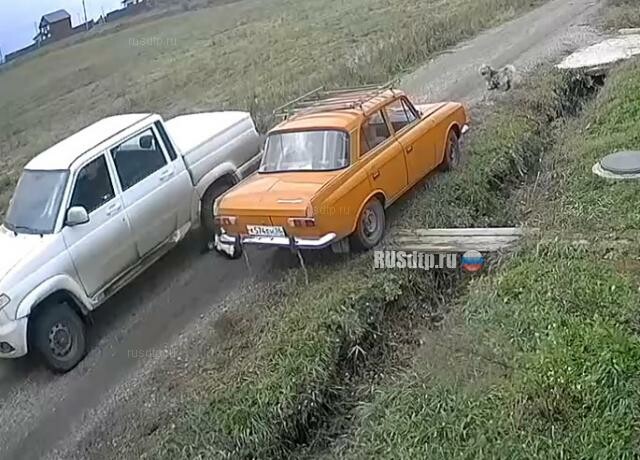 Водитель УАЗа сбил собаку
