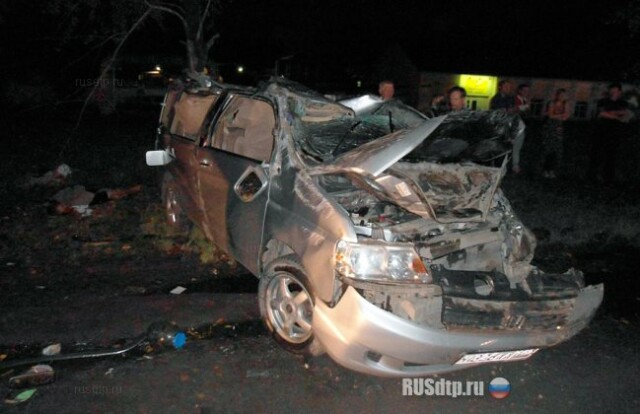 В Кемерове по вине водителя в ДТП погибли две его сестры и друг 