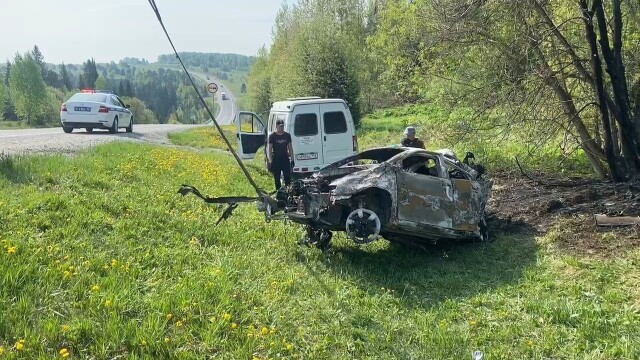 В Кузбассе Toyota врезалась в дерево и сгорела: погибли 4 человека 