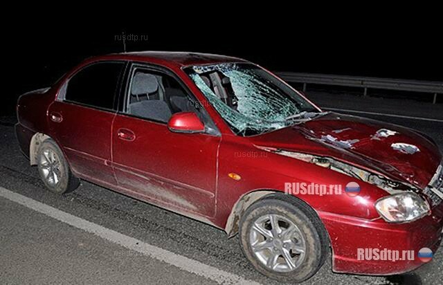 Автомобиль сбил женщину в Тольятти. У погибшей оторвало обе ноги 