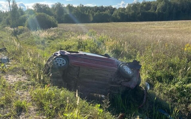 В Подмосковье перевернулся легковой автомобиль: пострадали дети 