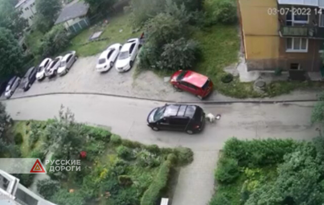 Автомобиль сбил пожилую женщину в Калининграде