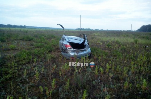 Три человека погибли при столкновении «Hyundai» с лошадью в Нижегородской области 