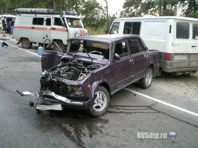 Смертельная авария в Нижегородской области 