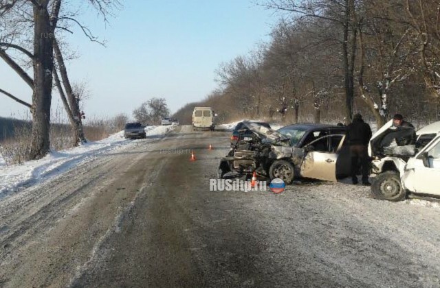 На Ставрополье две женщины погибли в ДТП, а их дети оказались в больнице 