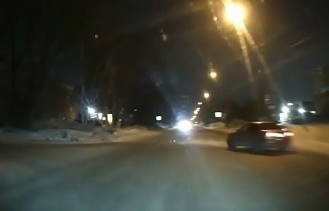  «Нужно было бить»: в Новосибирске водитель пытался избежать ДТП и врезался в дерево 