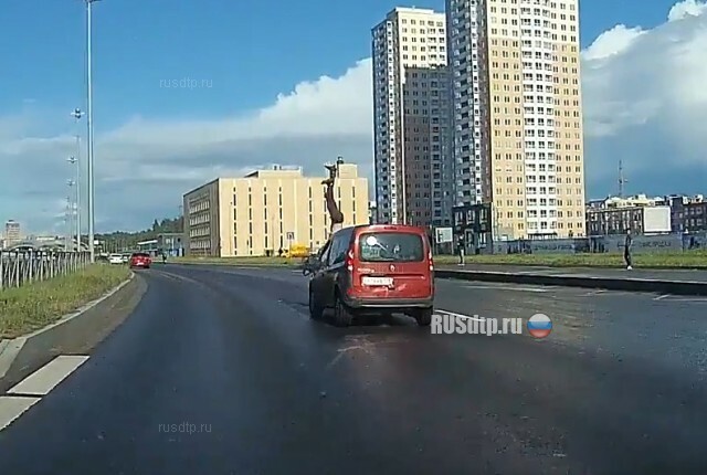 На Суздальском шоссе в Петербурге сбили пешехода