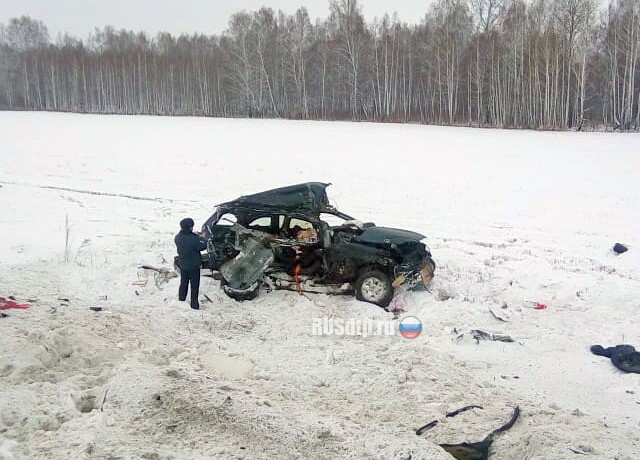 Момент смертельного ДТП на трассе Тюмень-Омск 