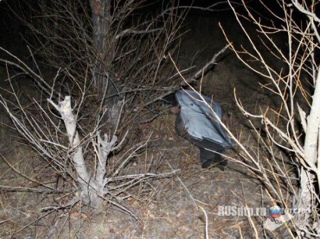 «Одиссей» перевернулся под Читой. Один человек погиб 