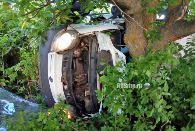 Пять человек погибли в ДТП с микроавтобусом на трассе «Одесса-Николаев» 