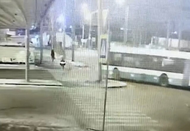 Пешеход чудом выжил под колесами автобуса в Петербурге