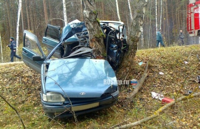 Женщина на ВАЗ-2115 разбилась, врезавшись в дерево в Рязанской области 