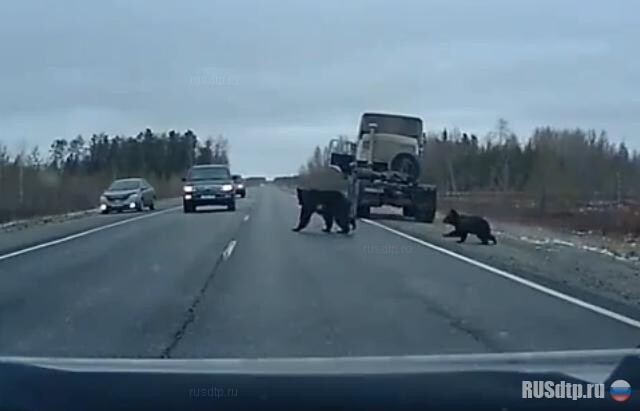 Мама с малышом троллит водителей 