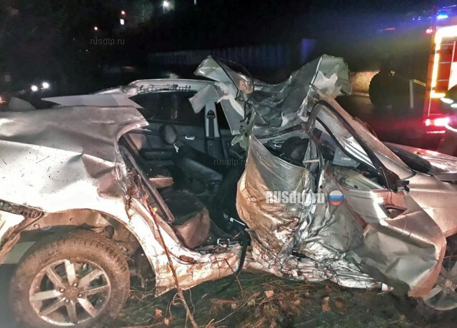 В Анапе автомобиль намотало на дерево: двое погибли 